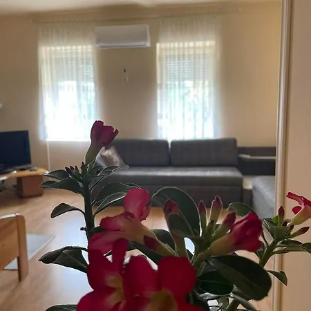 Ferienwohnung Tape Szegedin Exterior foto